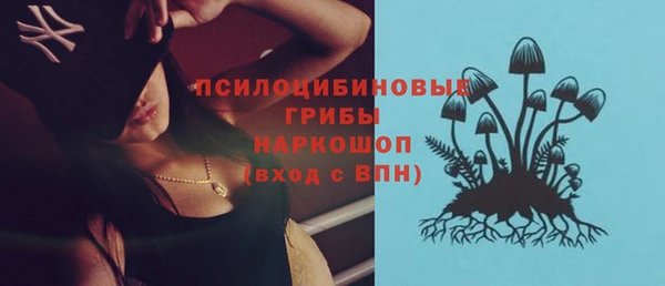 спайс Алзамай