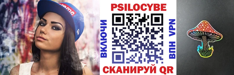 Купить Казань Галлюциногенные грибы Psilocybine cubensis